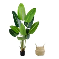 Ave del Paraiso Artificial, Cesto, Planta Artificial
