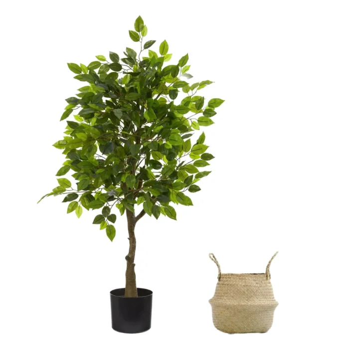 Ficus Artificial, Cesto de Mimbre