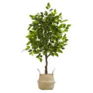 Ficus Artificial, Cesto de Mimbre
