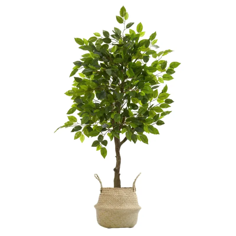 Ficus Artificial, Cesto de Mimbre