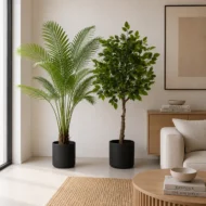 Planta Artificial, Pack plantas