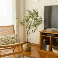 Pack Olivo 120 cm + Cesto Mimbre 27 cm - Imagen 2