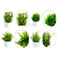 Plantas Pequeñas con maceta