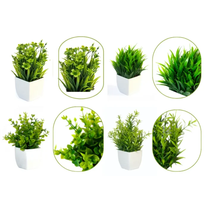 Plantas Pequeñas con maceta