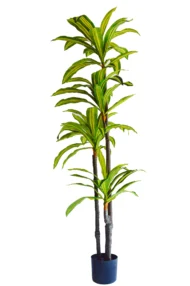 Dracena Artificial, Dracaena Artificial, Planta artificial