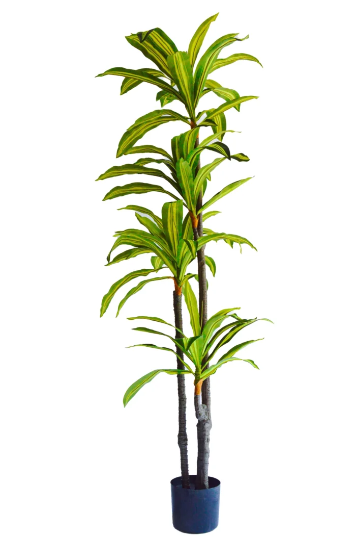 Dracena Artificial, Dracaena Artificial, Planta artificial