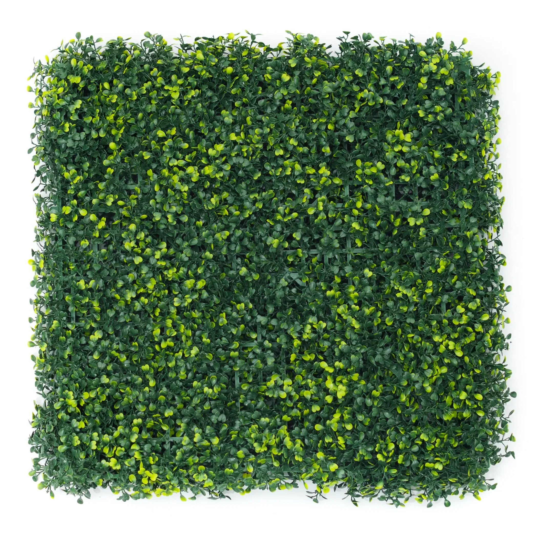 Deseado UV 1 Jardín Vertical Deseado UV