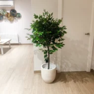 Ficus Artificial, Árbol Ficus Artificial