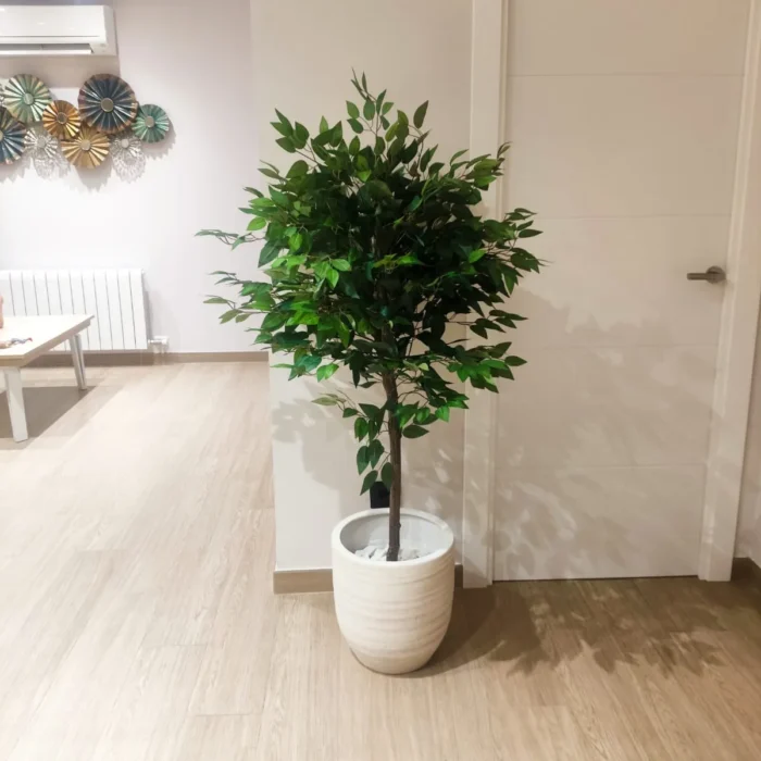 Ficus Artificial, Árbol Ficus Artificial