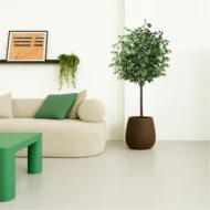 Ficus Artificial, Árbol Ficus Artificial