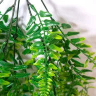 Helecho colgante artificial, Planta Colgante Artificial