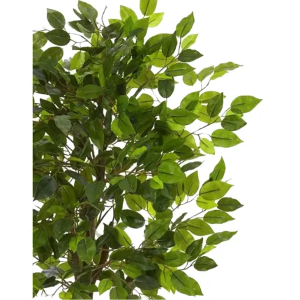 Ficus Artificial, Hojas Ficus