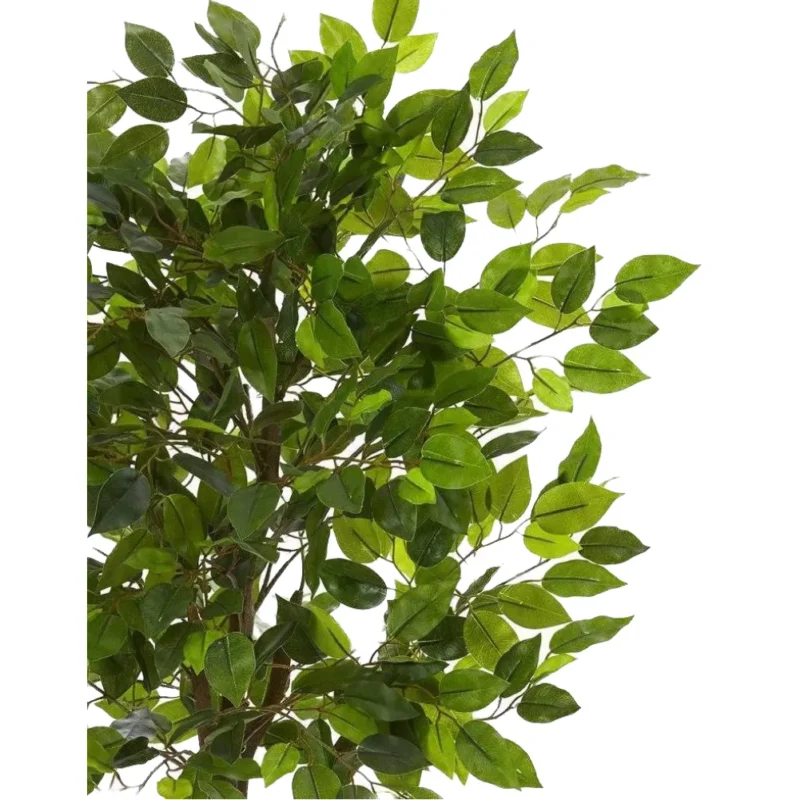 Ficus Artificial, Hojas Ficus