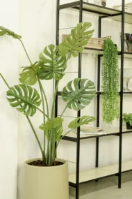 Monstera Artificial, Costilla de Adan Artificial