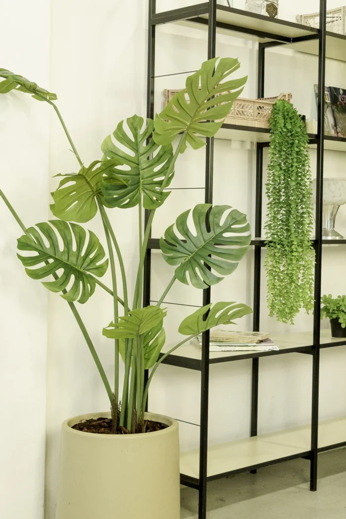 Monstera Artificial, Costilla de Adan Artificial