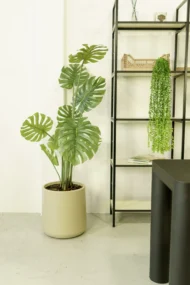 Monstera Artificial, Costilla de Adan Artificial