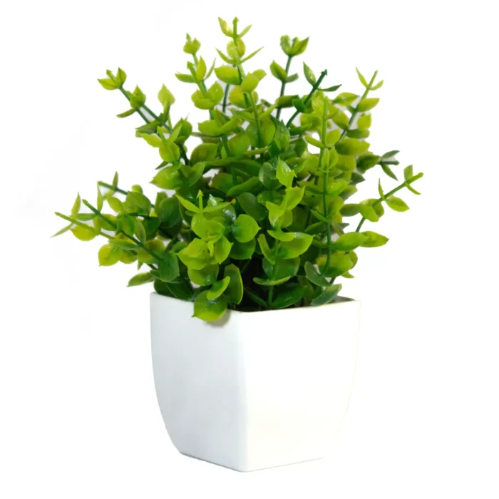 planta pequeñas con maceta