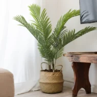 Palmera Artificial, Palmera Areca Artificial, Planta Artificial