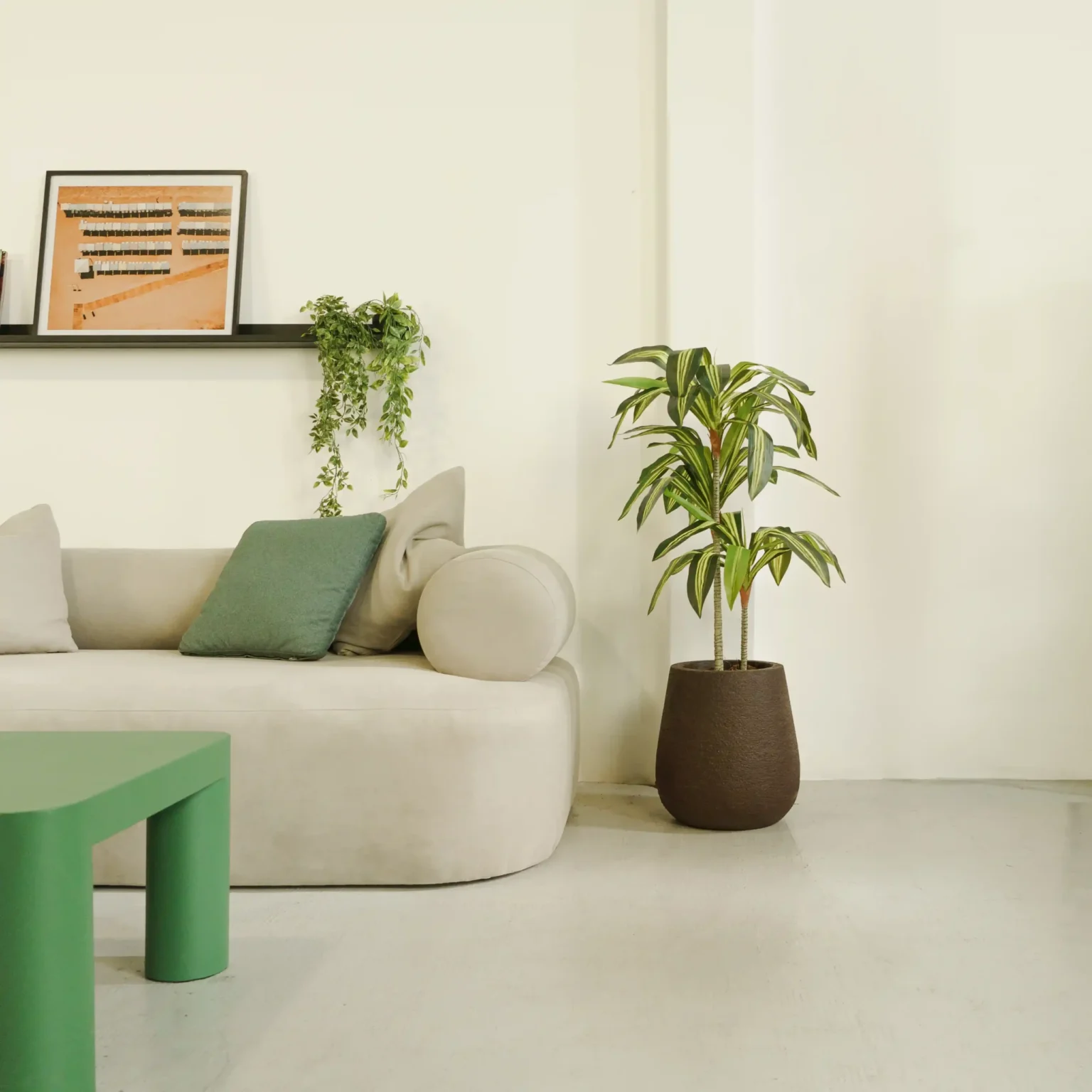 Dracena artifcial, Dracaena, planta artificial
