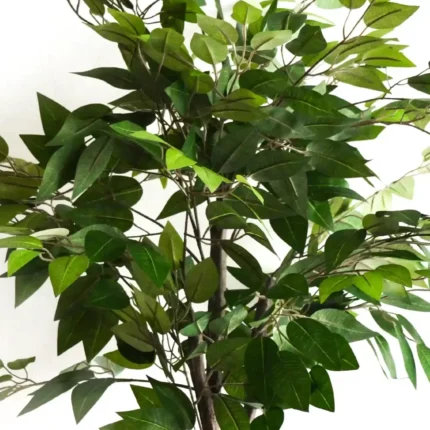 Ficus Artificial, Árbol Ficus Artificial