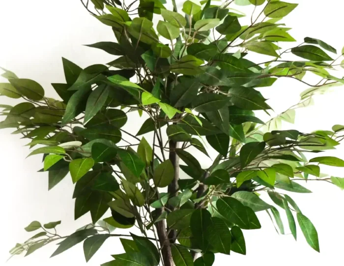 Ficus Artificial, Árbol Ficus Artificial