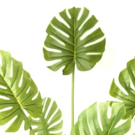 Monstera Artificial, Costilla de Adan Artificial