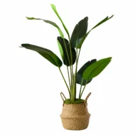 Ave del Paraíso Artificial. Strelitzia Artificial