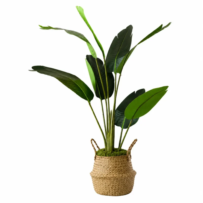 Ave del Paraíso Artificial. Strelitzia Artificial