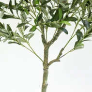 Olivo Artificial