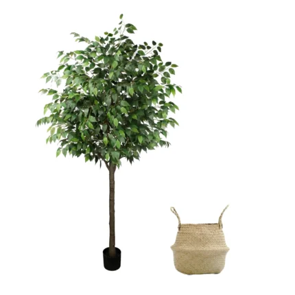 Ficus Artificial, Cesto de Mimbre