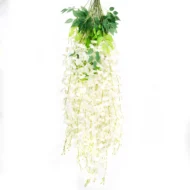 Enredadera Glicina Blanca, Flor Blanca