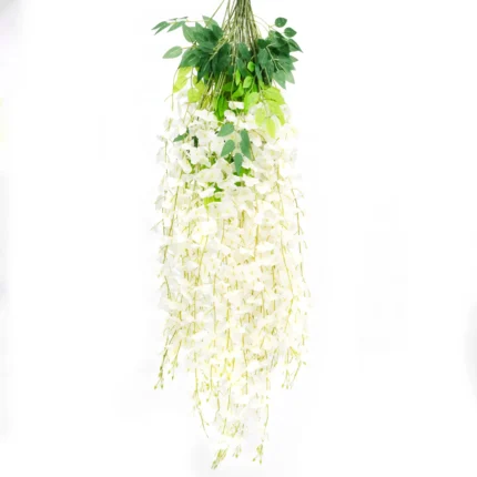 Enredadera Glicina Blanca, Flor Blanca