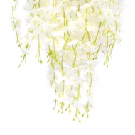 Enredadera Glicina Blanca, Flor Blanca