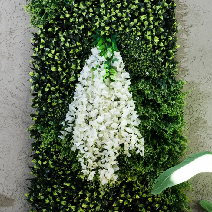Enredadera Glicina Blanca, Flor Blanca