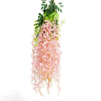 Enredadera Glicina Rosa, Flor Rosa