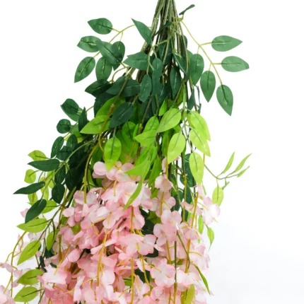 Enredadera Glicina Rosa, Flor Rosa