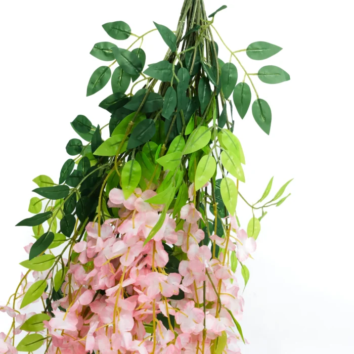 Enredadera Glicina Rosa, Flor Rosa
