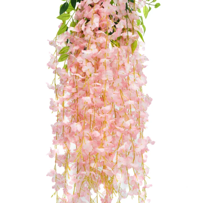Enredadera Glicina Rosa, Flor Rosa
