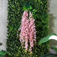 Enredadera Glicina Rosa, Flor Rosa