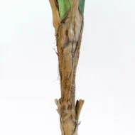 Planta Artificial Platanera 180cm - Imagen 9