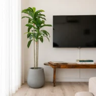 Planta artificial, Dracena Artificial