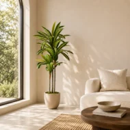 Dracena artificial, Dracaena, planta artificial