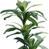 Planta Artificial Dracena 160cm + Cesto Maceta 32cm + Musgo - Imagen 7