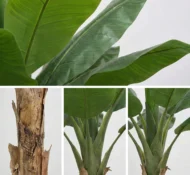 Planta Artificial Platanera 160cm - Imagen 3