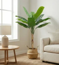 Planta Artificial Platanera 160cm