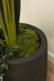 Musgo Artificial Decorativo - Imagen 4