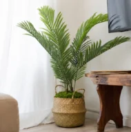 Palmera Artificial, Planta Artificial