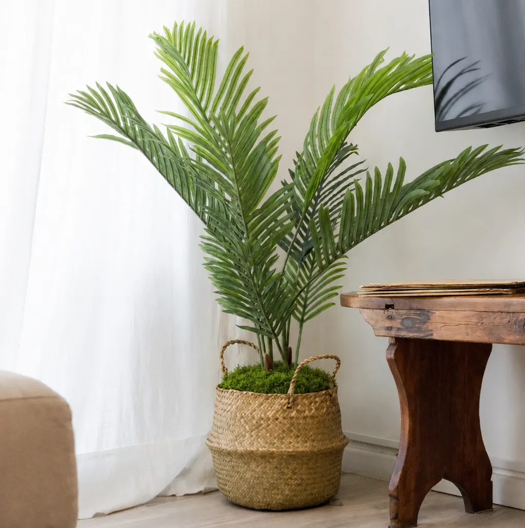 ChatGPT Image 14 may 2026, 11_25_34 a.m. Palmera Artificial, Planta Artificial