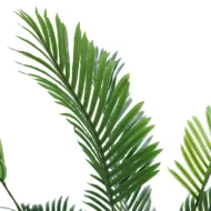 Pack Palmera Areca 110cm + Cesto Maceta 27cm + Musgo - Imagen 6