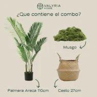 Pack Palmera Areca 110cm + Cesto Maceta 27cm + Musgo - Imagen 7